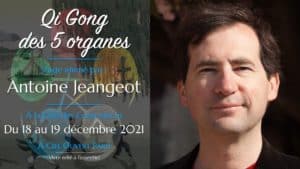 Qi Gong des 5 organes – Antoine Jeangeot